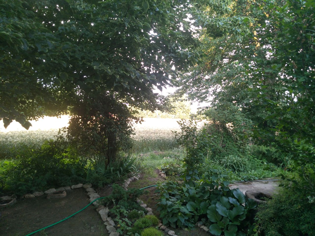 dom wolnostojący, 5 pokoi Janówka. Zdjęcie 21