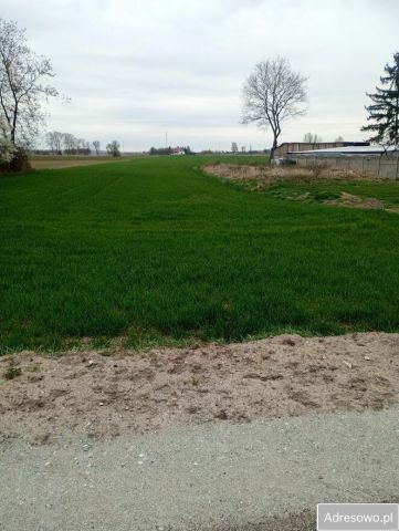 Działka budowlana Józefowo. Zdjęcie 1