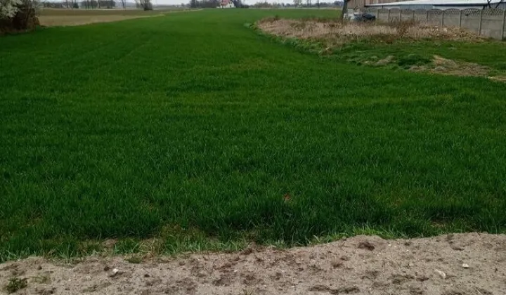 Działka budowlana Józefowo