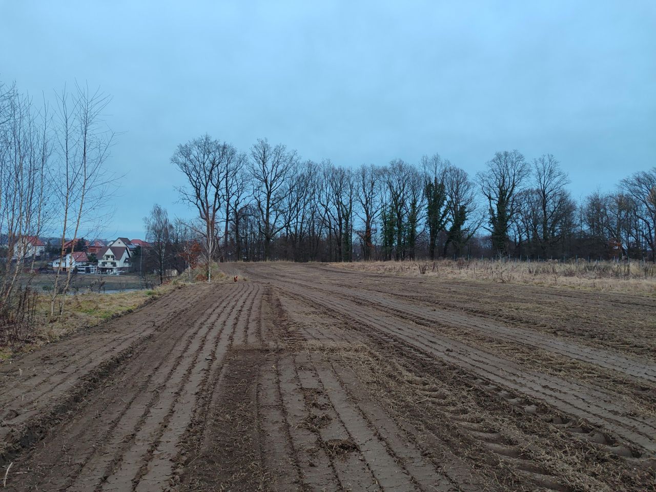Działka budowlana Nowogrodziec, SIENKIEWICZA. Zdjęcie 2