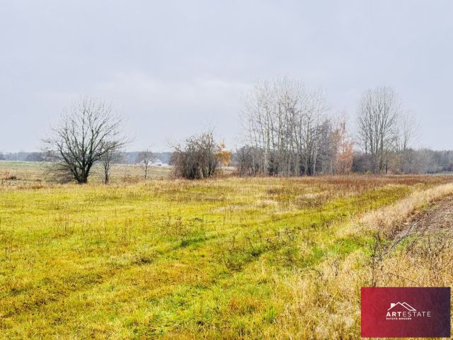 Działka rekreacyjna Nowy Adamów. Zdjęcie 14