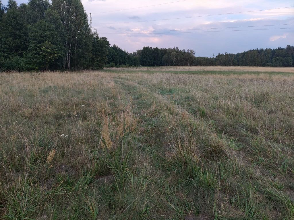 Działka budowlana Basinów. Zdjęcie 2