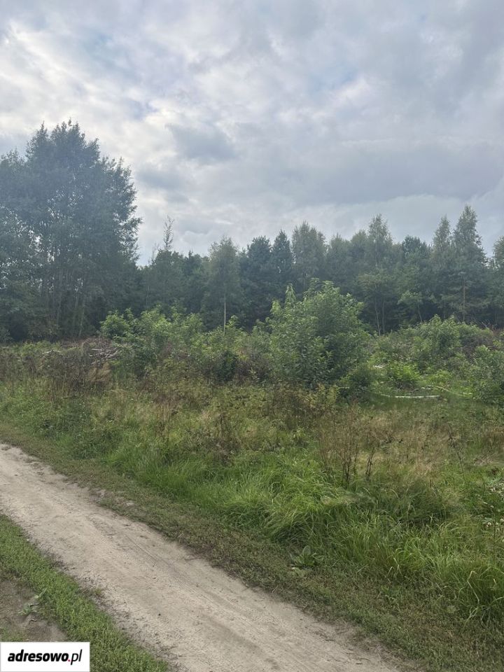 Działka budowlana Zielona Góra Ochla, ul. Ochla-Pustynna. Zdjęcie 2
