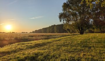 Mieszkanie 2-pokojowe Konstancin-Jeziorna Grapa, ul. Literatów