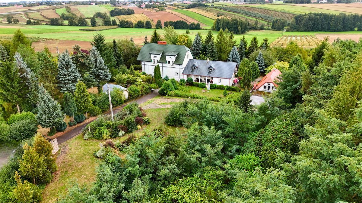 Działka rolna Zochcinek. Zdjęcie 16