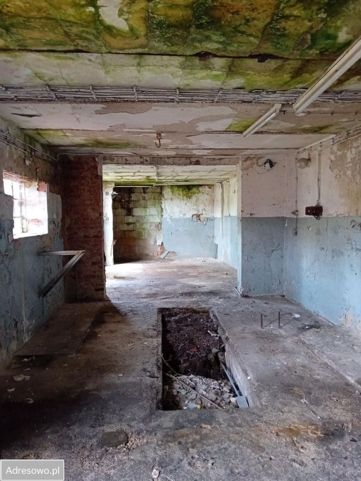 dom szeregowy Tuszyn. Zdjęcie 12