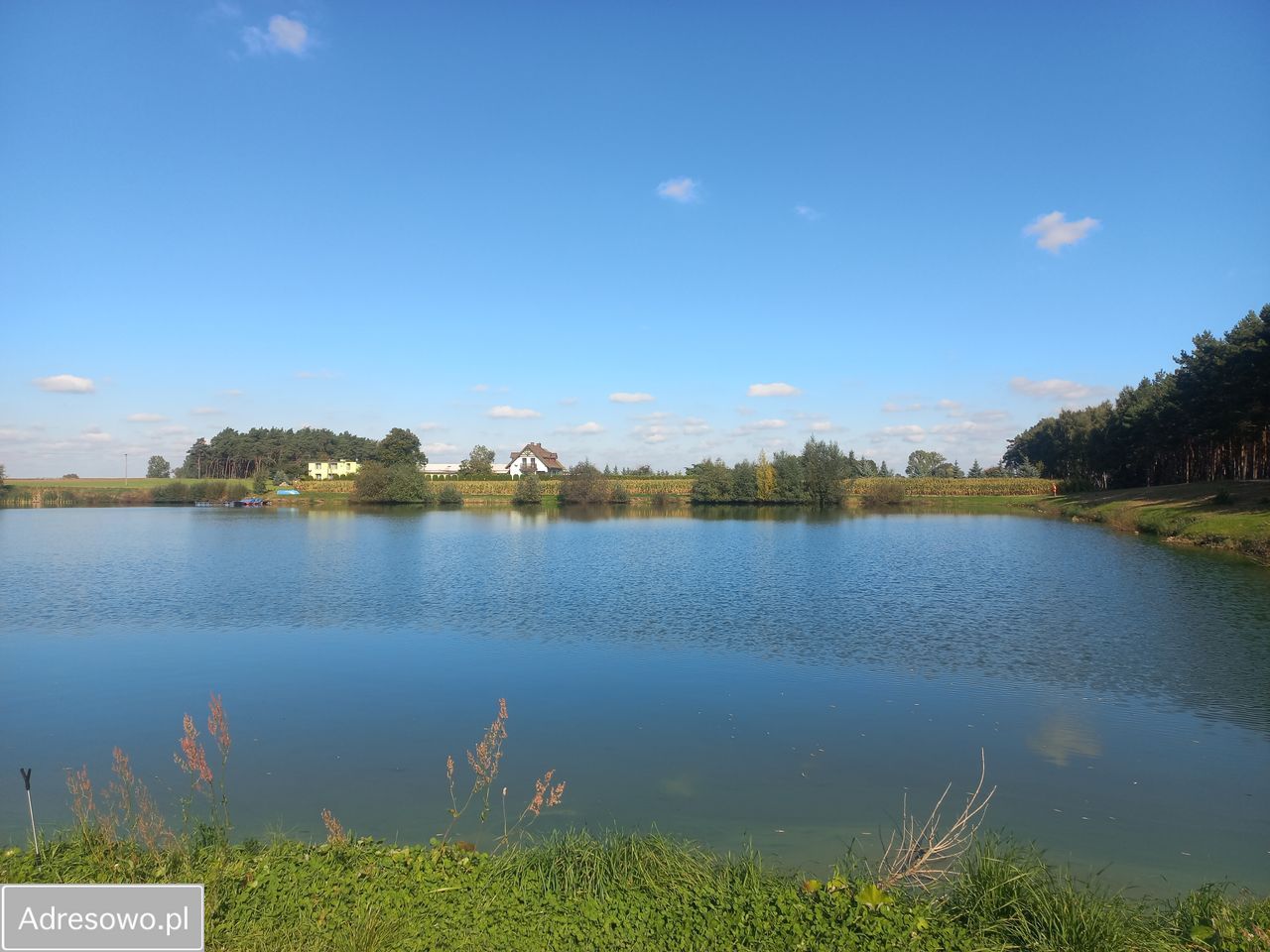 Działka Baranowo. Zdjęcie 3