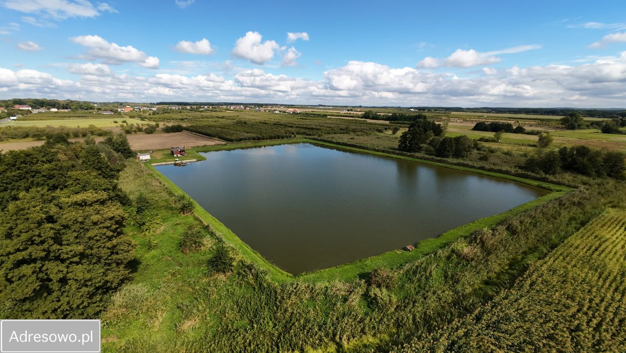 Działka rolna Zadworna. Zdjęcie 9