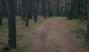 Działka leśna Michałowo