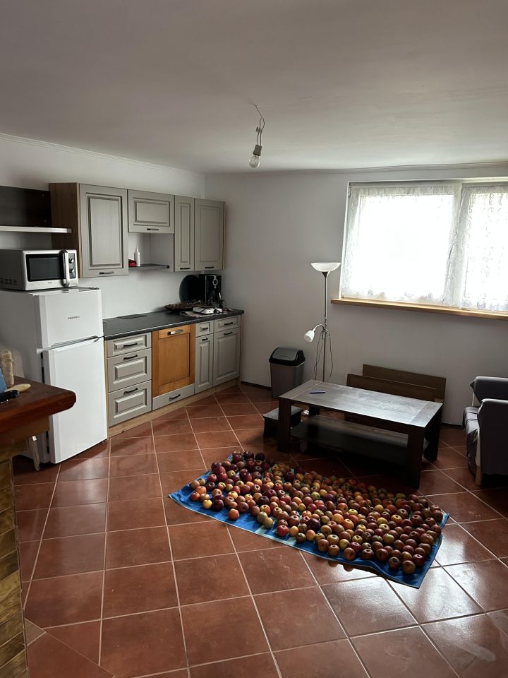 Działka rod Nysa Zamłynie, ul. Adama Mickiewicza. Zdjęcie 4