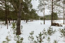 Działka budowlana Małe Gacno. Zdjęcie 4