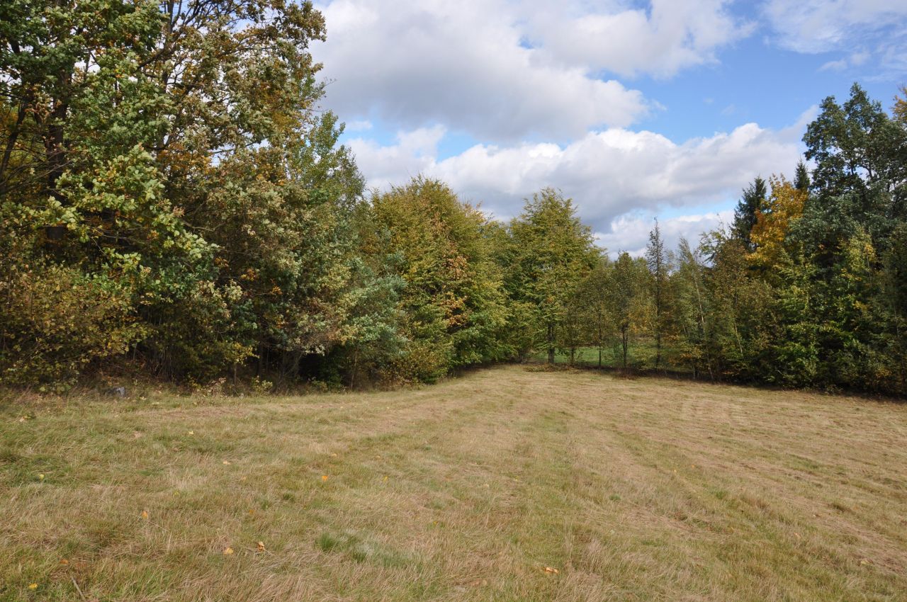 Działka budowlana Gruszków. Zdjęcie 4