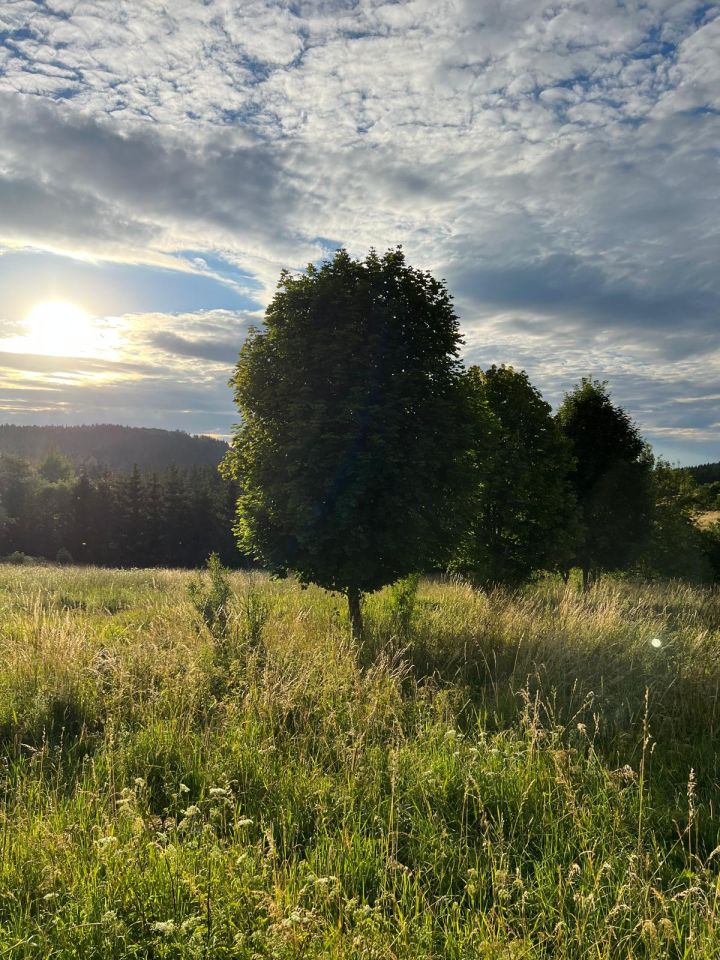 Działka budowlana Bartnica Wyrębina. Zdjęcie 3