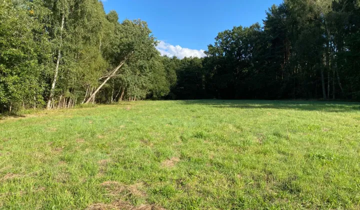 Działka rolno-budowlana Ładzin