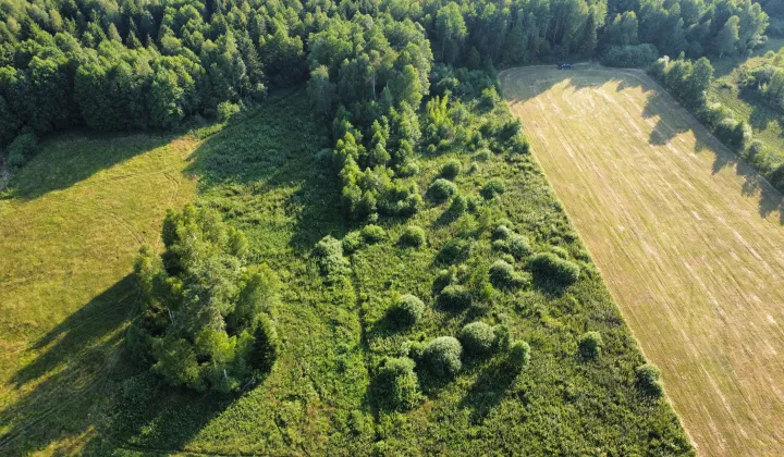 Działka rolna Cieliczanka