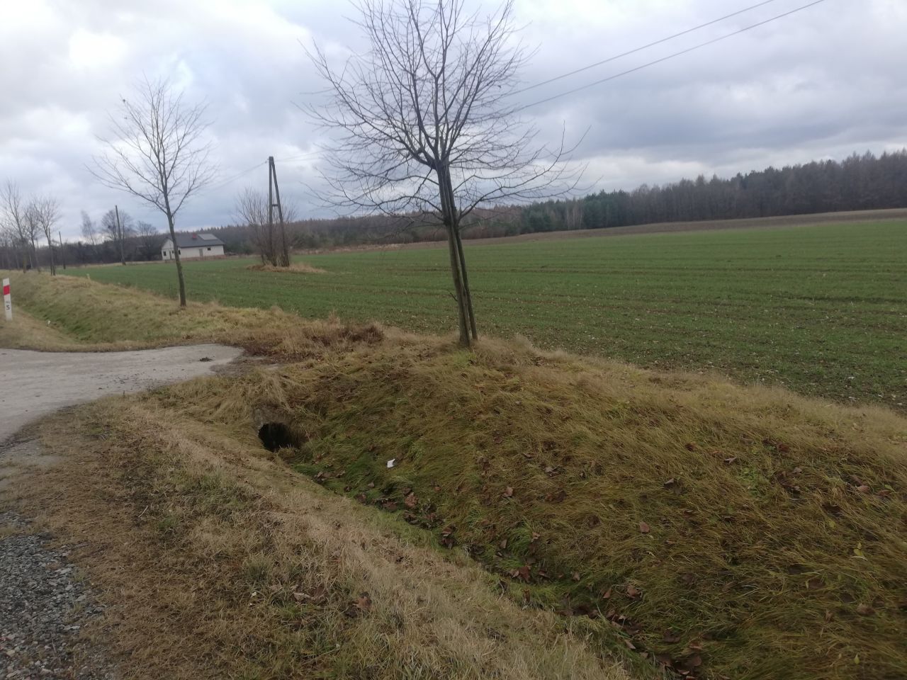 Działka rolno-budowlana Gościeradów-Folwark. Zdjęcie 6