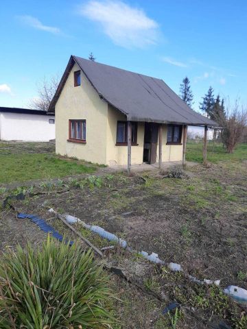 Działka rod Strzelce Opolskie. Zdjęcie 1