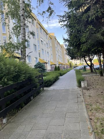 Mieszkanie 3-pokojowe Poznań Chartowo, ul. Lwa. Zdjęcie 1