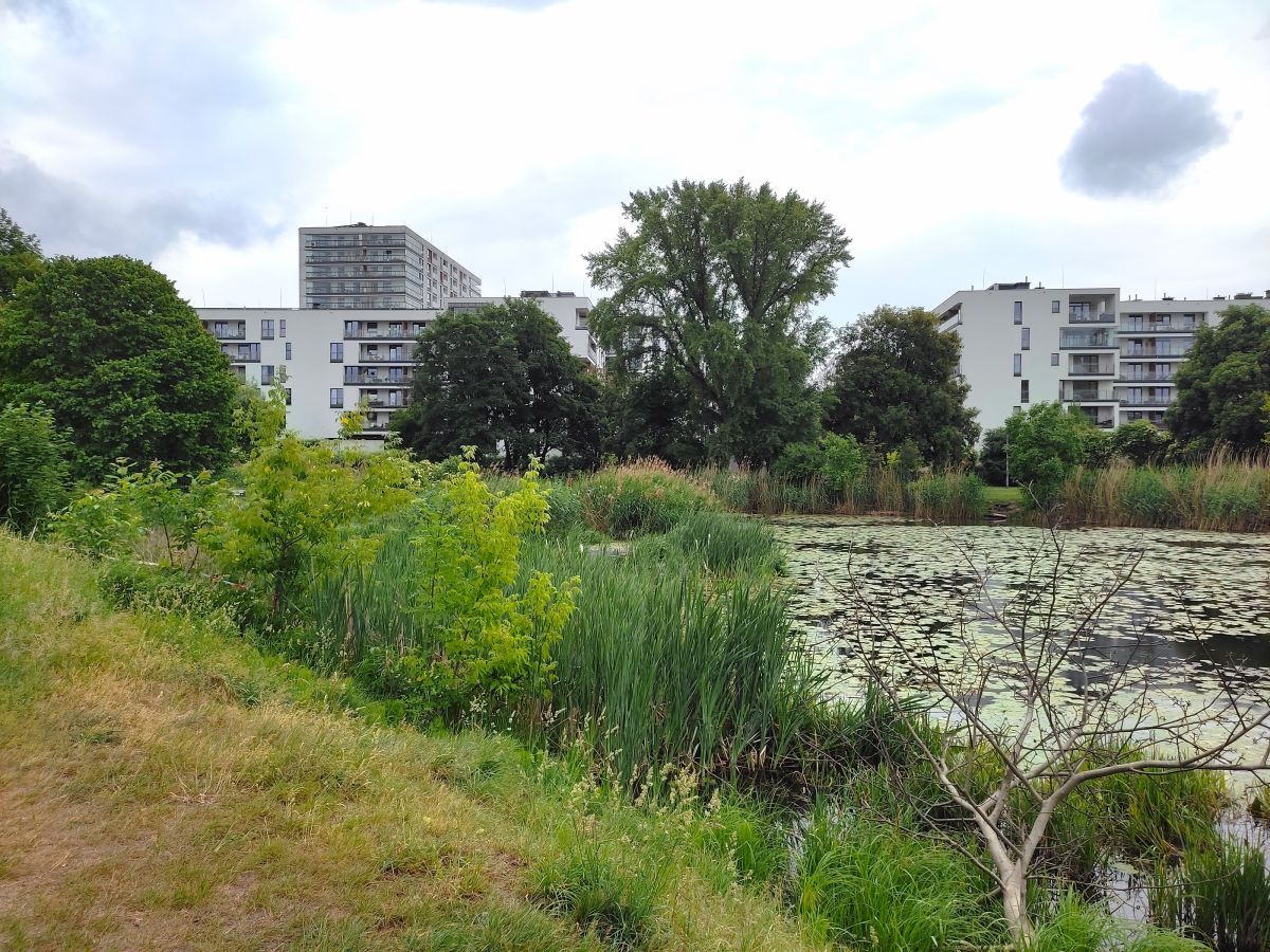 Mieszkanie 3-pokojowe Warszawa Praga, al. Stanów Zjednoczonych. Zdjęcie 27