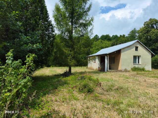 Działka rolno-budowlana Świdnica. Zdjęcie 1