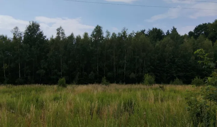 Działka rolno-budowlana Grodzisko Dolne