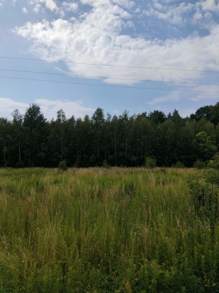 Działka rolno-budowlana Grodzisko Dolne