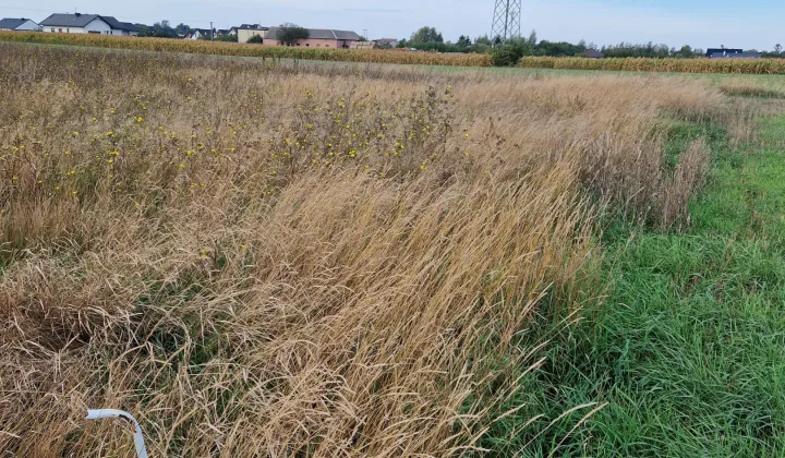 Działka budowlana Łysomice, ul. Długa