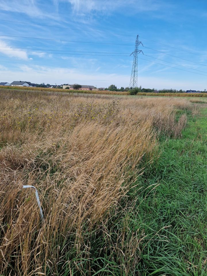 Działka budowlana Łysomice, ul. Długa