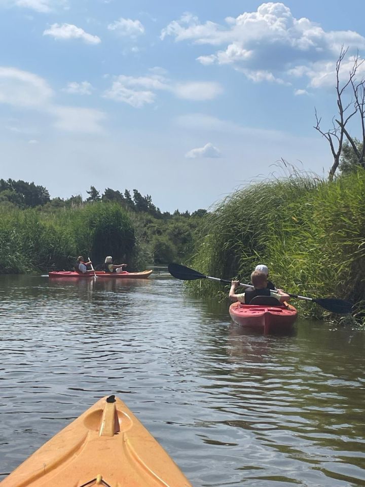 Działka rekreacyjna Rudniki. Zdjęcie 2