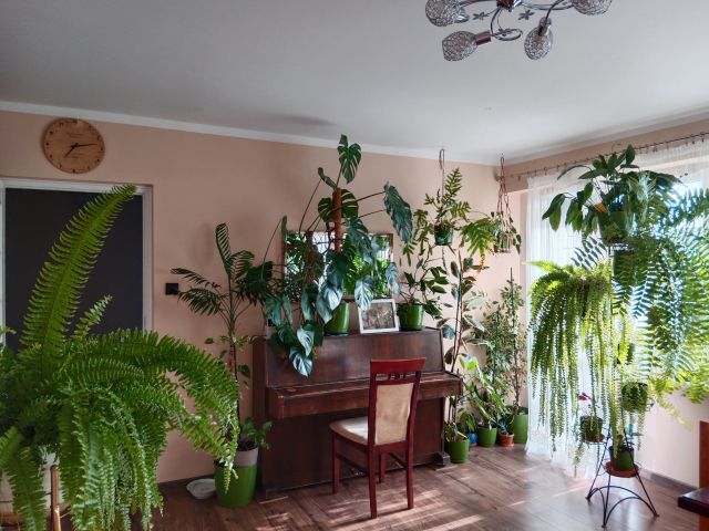 Mieszkanie 3-pokojowe Wieliczka, os. Karola Szymanowskiego. Zdjęcie 1