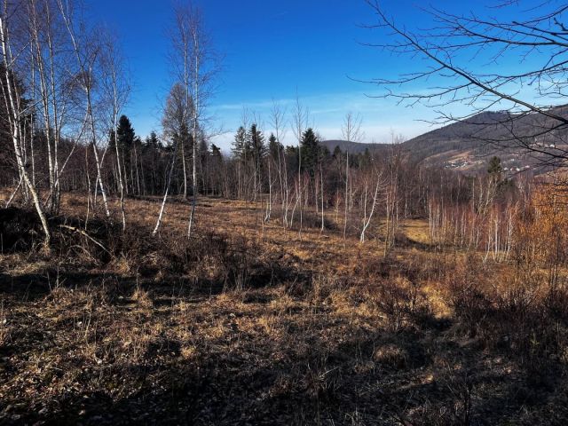 Działka budowlana Brenna. Zdjęcie 7