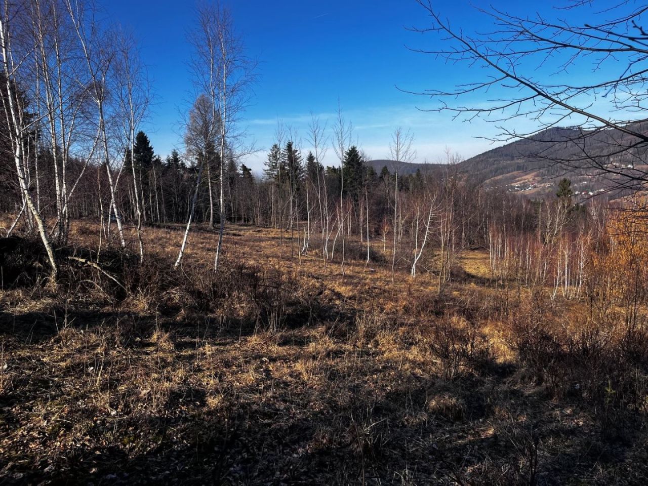 Działka budowlana Brenna. Zdjęcie 7