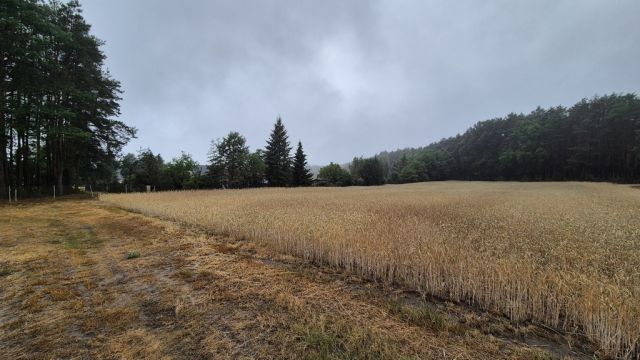 Działka siedliskowa Chojno-Błota Małe. Zdjęcie 20