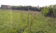 Działka rolno-budowlana Parsów. Zdjęcie 1