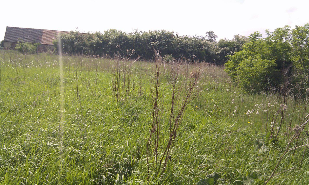 Działka rolno-budowlana Parsów. Zdjęcie 2
