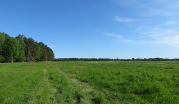 Działka rolna Smołdziński Las. Zdjęcie 3