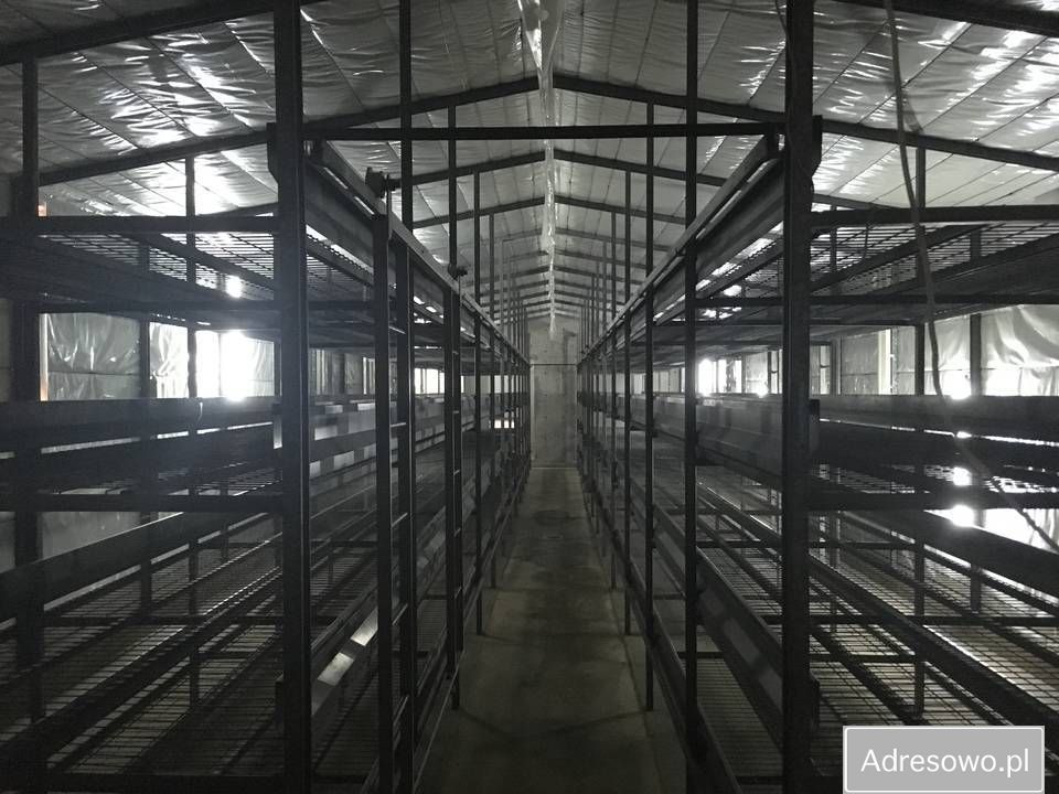Hala/magazyn Rokitno Szlacheckie, ul. Tadeusza Kościuszki. Zdjęcie 7