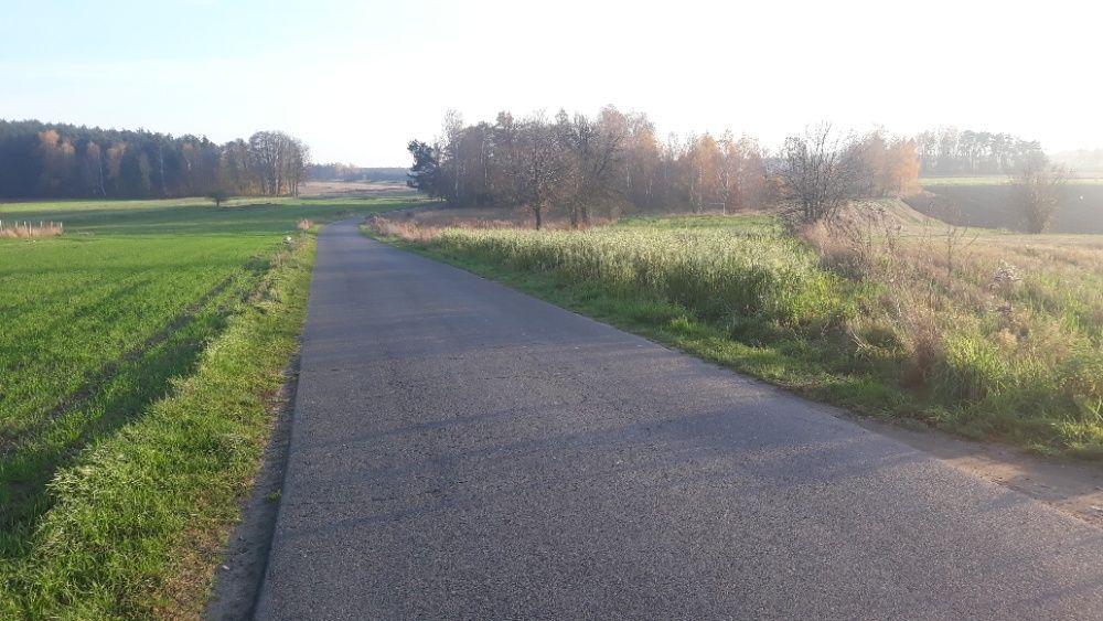 Działka rolno-budowlana Syberia. Zdjęcie 6