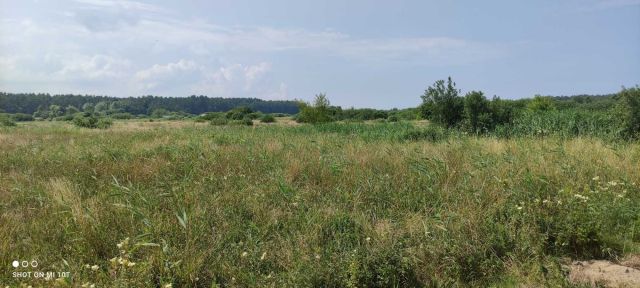 Działka siedliskowa Ostrowo. Zdjęcie 1