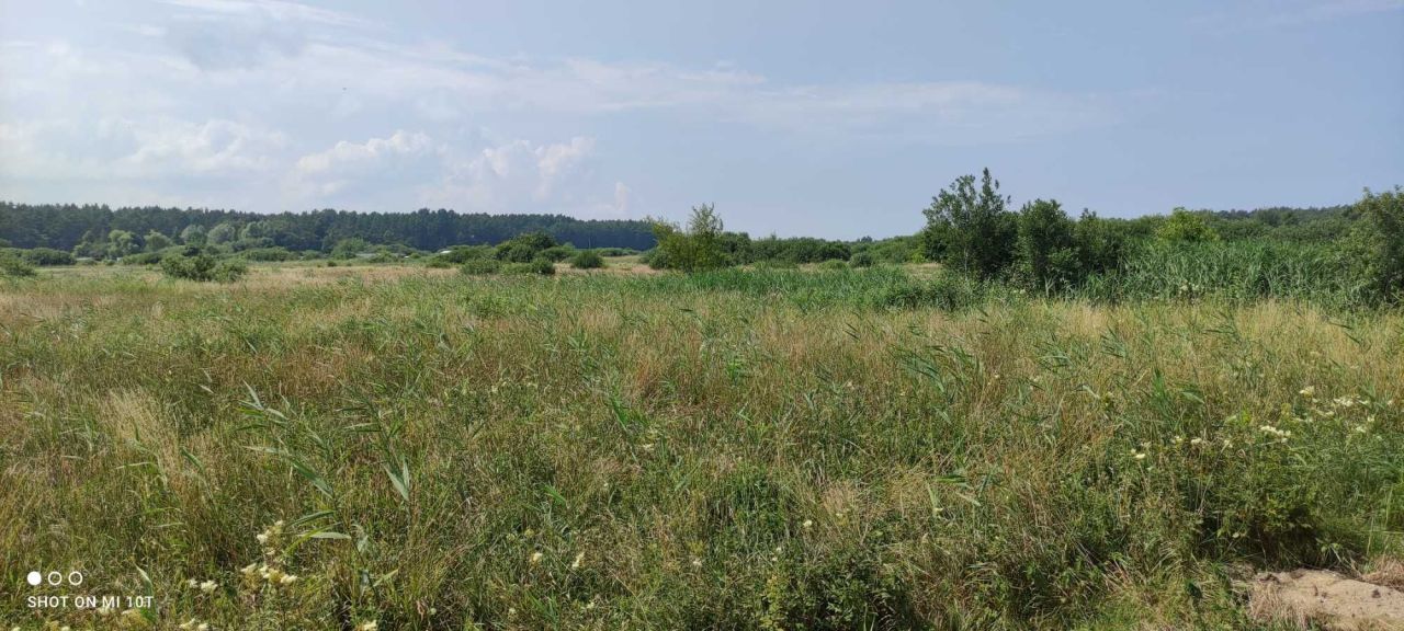 Działka siedliskowa Ostrowo