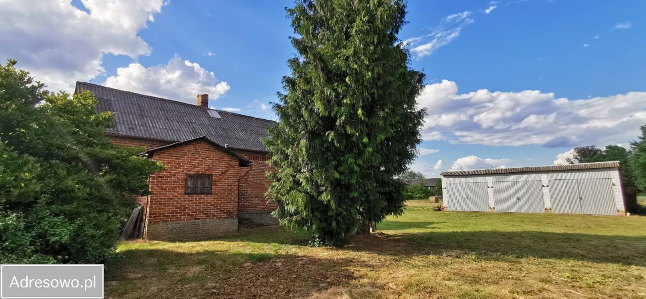 Działka rolno-budowlana Jarentowskie Pole. Zdjęcie 5