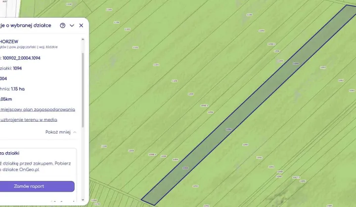 Działka leśna Chorzew