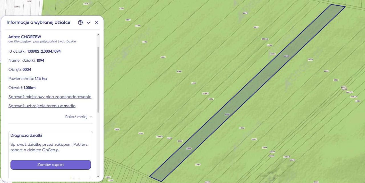 Działka leśna Chorzew. Zdjęcie 1