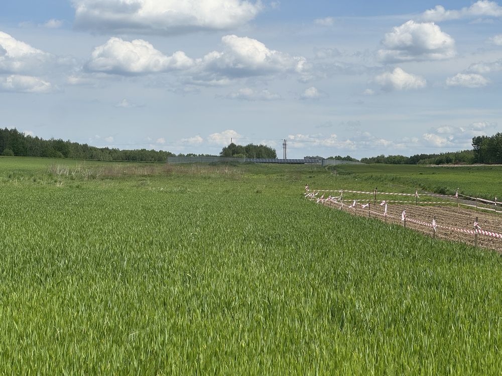 Działka rolno-budowlana Szynwałd. Zdjęcie 2