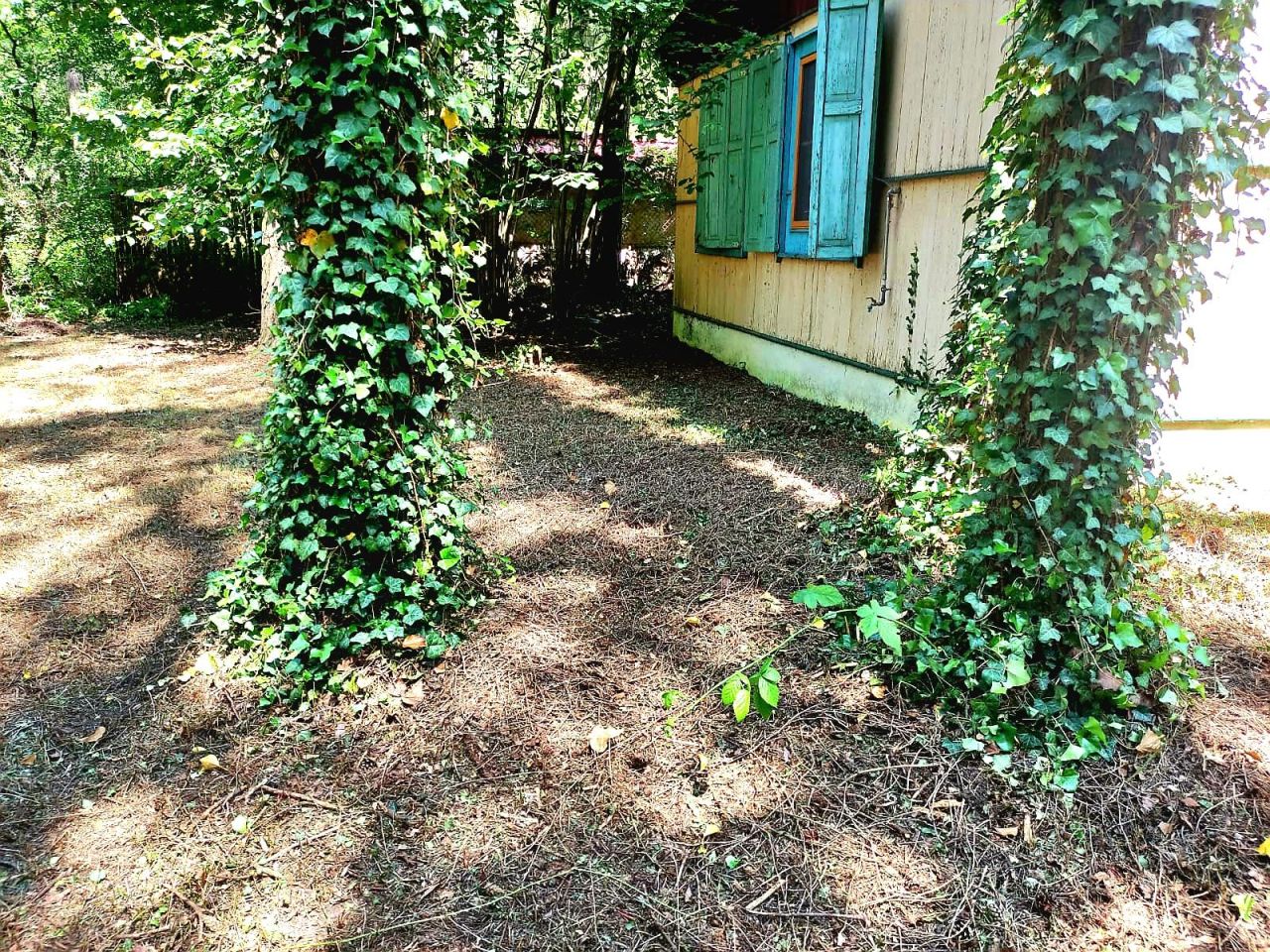 Działka budowlana Sokolniki-Las, ul. Adama Mickiewicza. Zdjęcie 4