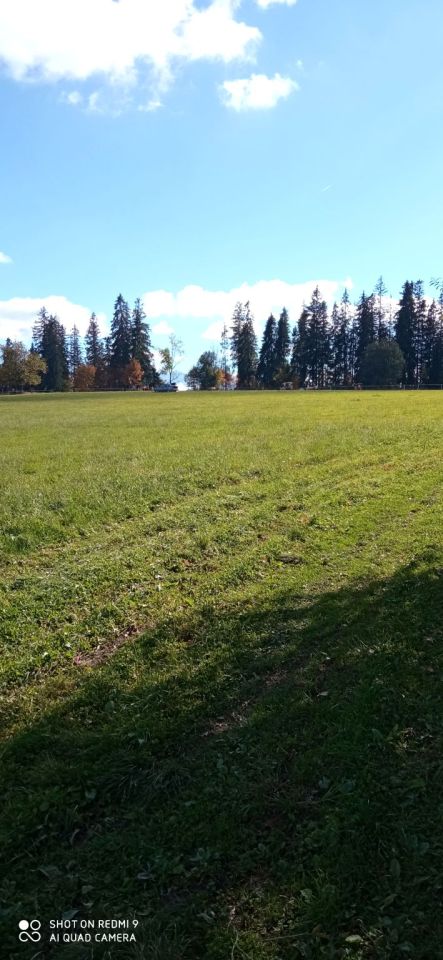 Działka rolna Leśnica. Zdjęcie 3