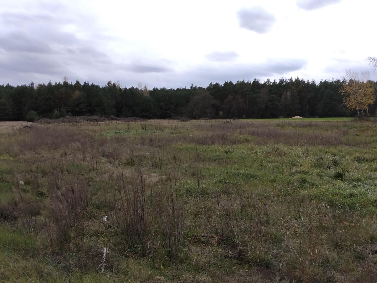 Działka budowlana Zabiełłów