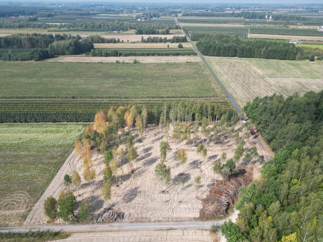 Działka budowlana Zimnice, ul. Janusza Kusocińskiego. Zdjęcie 3