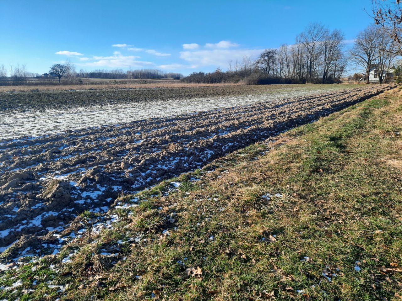 Działka budowlana Borzymów. Zdjęcie 5