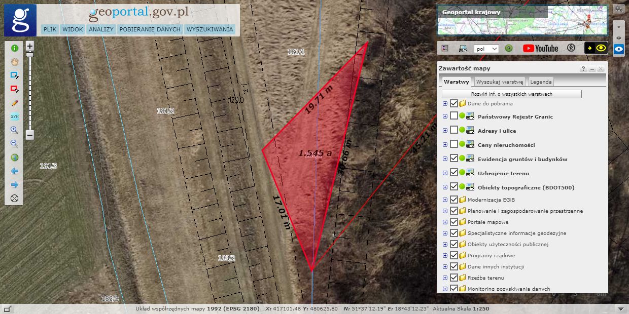 Działka rolna Dzigorzew. Zdjęcie 4